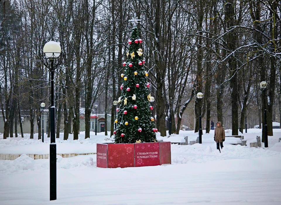 Установка новогодних елей завершилась в поселении Михайлово-Ярцевское