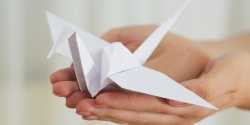 Жители поселения Михайлово-Ярцевского смогут стать мастерами по оригами