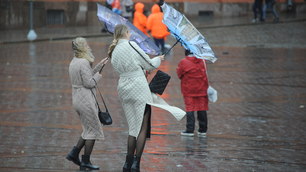 Усиление порывов ветра стало причиной введения в Москве «желтого» уровня погодной опасности