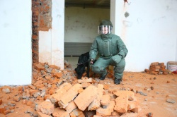 На территории Новой Москвы было обнаружено более 130 взрывоопасных предметов времен Великой Отечественной войны