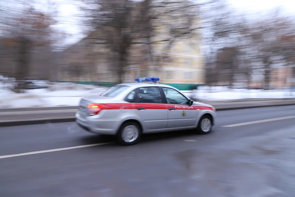 Росгвардейцы задержали подозреваемых в нападении на таксиста в Москве 