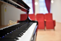 Видеоролик с занятия по игре на фортепиано разместили преподаватели детской школы искусств