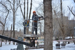Город обновляется: в столице провели санитарную обрезку почти 25 тысяч деревьев 