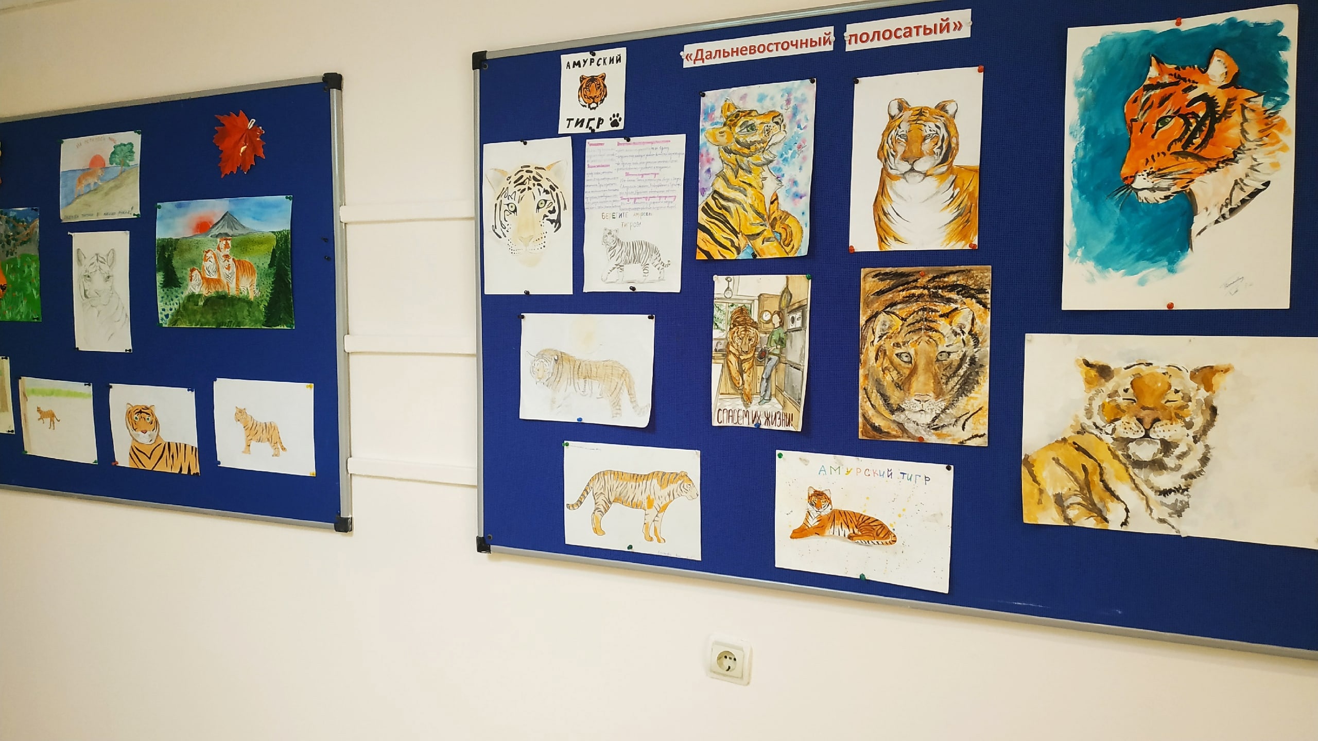 Конкурс рисунков объявили в школе-пансионе «Плесково»