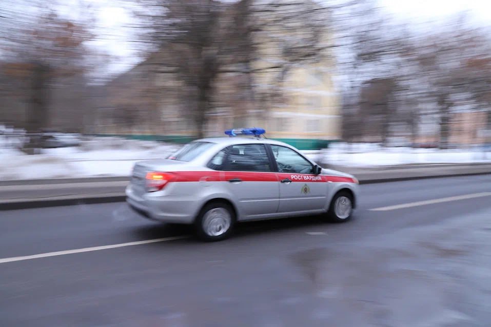 Ранее судимого москвича с фальшивыми документами задержали сотрудники Росгвардии